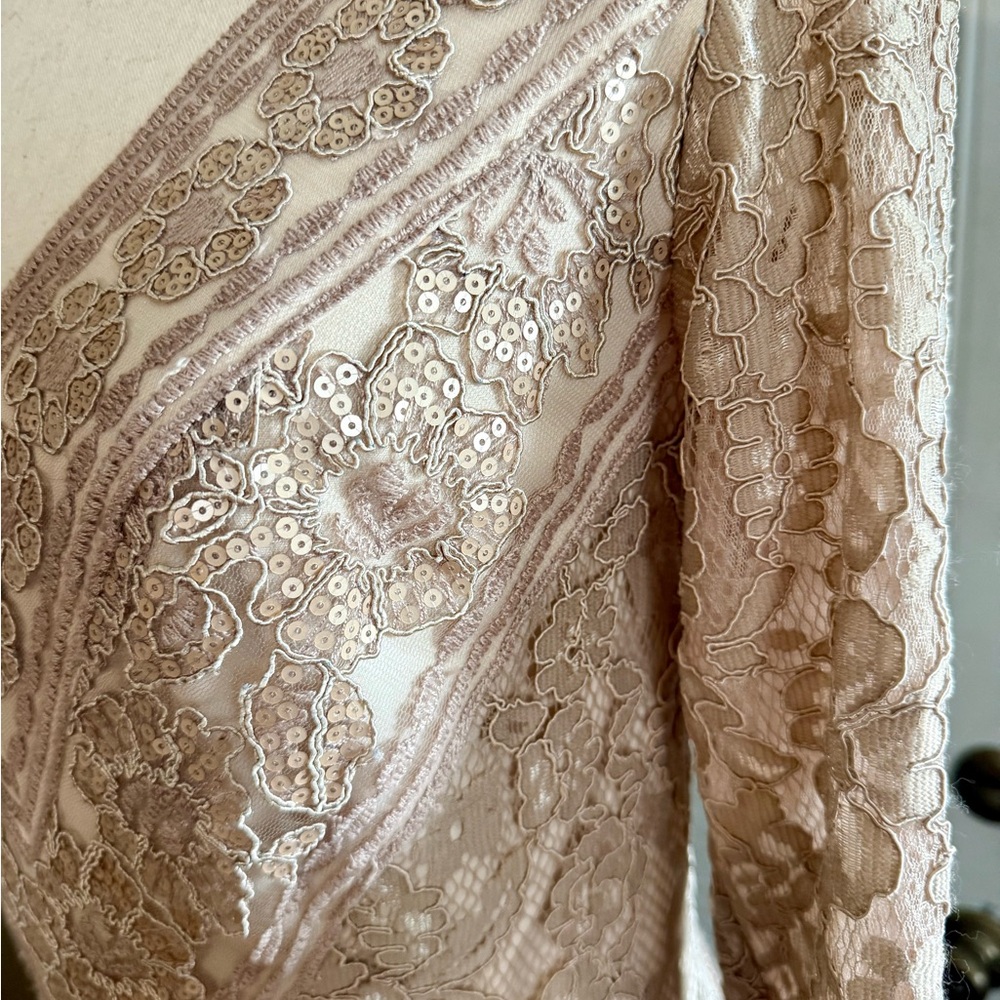NWT Elegant Tadashi Shoji Tatiana Sequin Lace Gown in Beige/Champage Size 4 - Picture 3 of 10